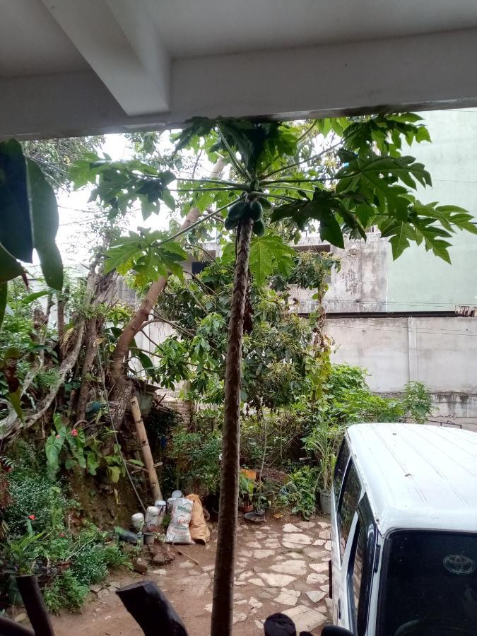 Nimsara Homestay Ella Exterior foto
